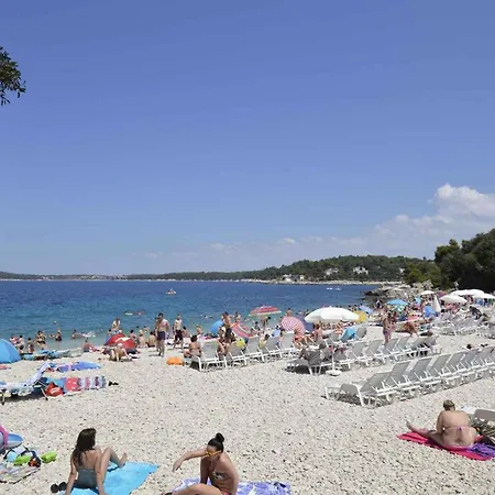 Pula 5 *